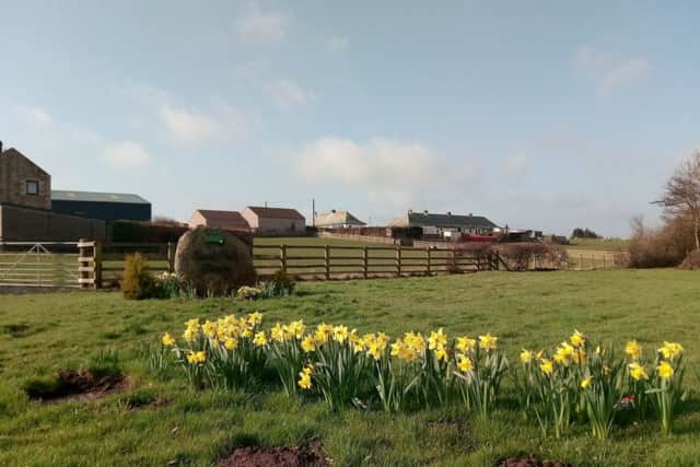 A fifth of English farms have disappeared in the past 10 years