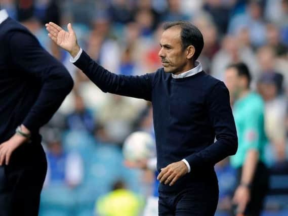 Jos Luhukay gives out the instructions in Sheffield Wednesday's win over Reading