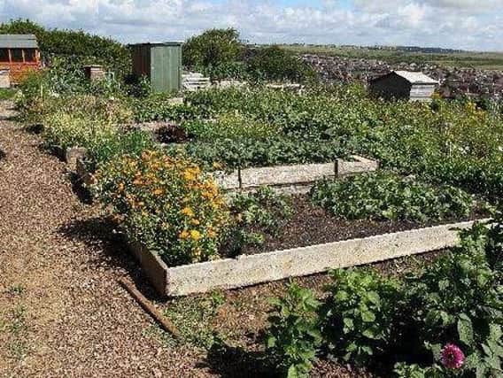 Rustlings Road Allotments (photo: South Yorkshire Police)