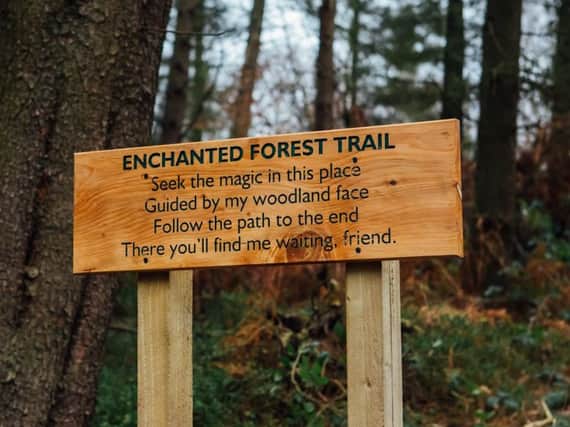 The enchanted forest trail has launched in Greno Woods (Photo credit: Helena Dolby)