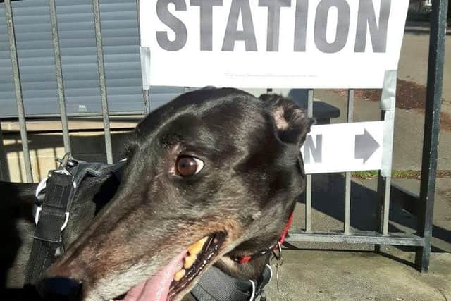 Maddy at polling station - Credit: A_Meakin