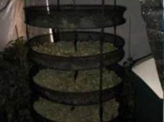 Cannabis was seized during a crackdown on crime in Doncaster