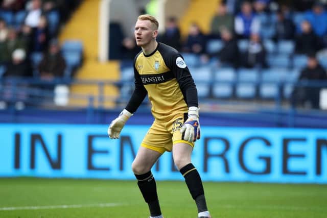 Owls goalkeeper Cameron Dawson came through the ranks at Hillsborough