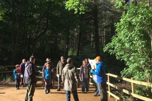 Don't miss this weekend: Woodland Walk