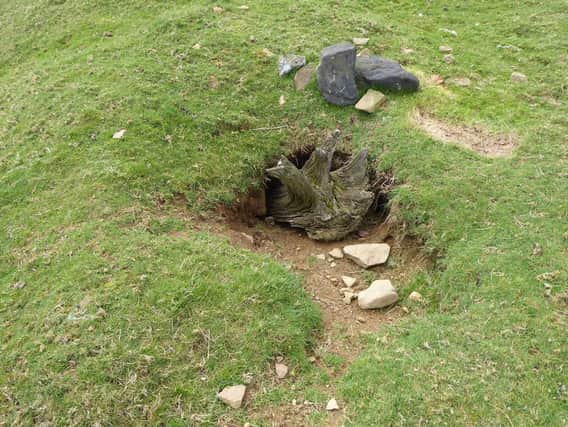 A sett at Wharncliffe which Graham said has been deliberately blocked, with a high chance that badgers starved to death inside