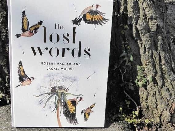 The fundraising page aims to get a copy of The Lost Words to every primary school in Sheffield