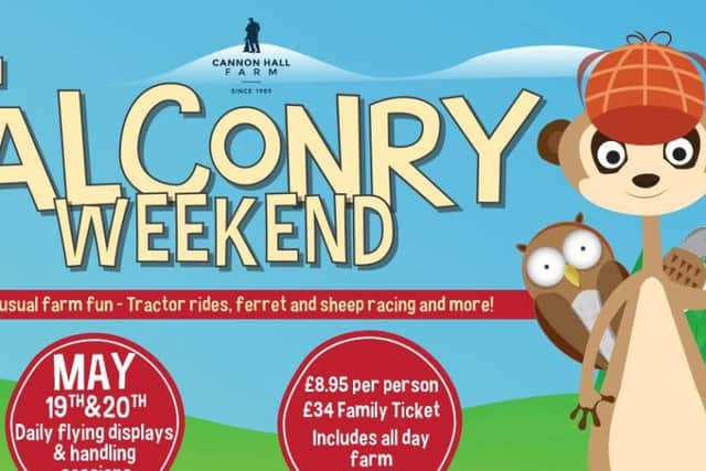 What's On: Barnsley - falconry weekend