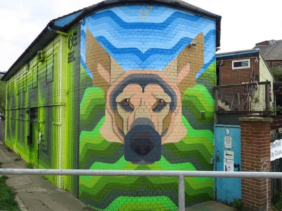 Local artist Rob Lee wants to raise awareness for the Sheffield City Council's dog shelter.