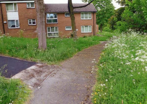 Pathway outside Bob Swain's block of flats showing long grass and weeds
Longley Hall Farm estate