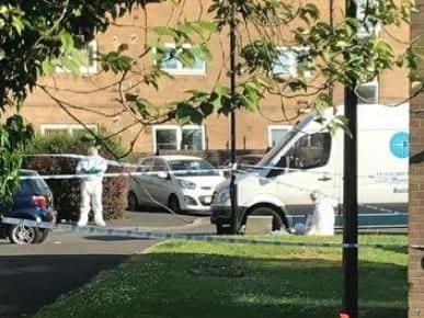 Police activity in Tannery Close, Woodhouse, yesterday