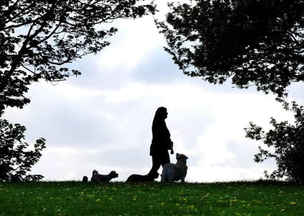Dog Walkers in Sheffield: Rebecca Allison of Pawsitive Walks in Bradway