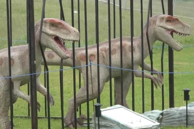 Run for it...these Raptors are breaking out of their cage
