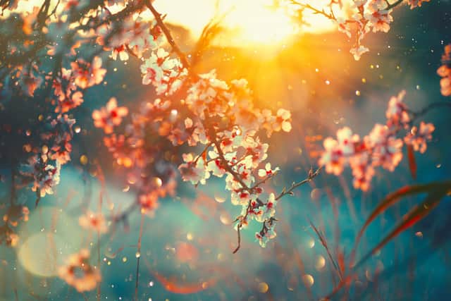 The spring equinox is an event which takes place once a year, but what is it, what does it signify and when does it happen? (Photo: Shutterstock)