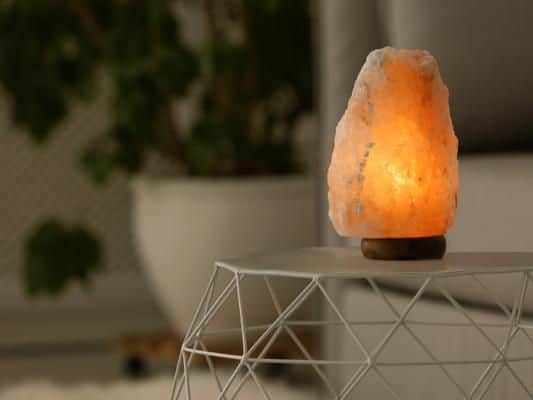 These trendy lamps are very tempting and addictive for cats to lick, but vets have warned that it can lead to sodium poisoning, causing your kitty pain, vomiting, seizures and even death.
